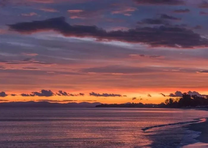 Arelia Beachfront Garden View Daire
